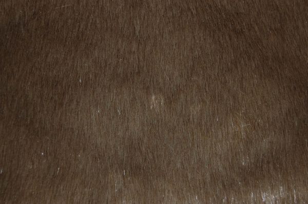 Teddy Bear Fur Mocha